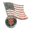 Flag Day Pin